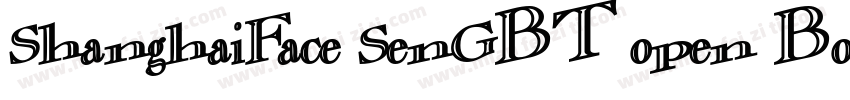ShanghaiFace SenGBT open Bold字体转换